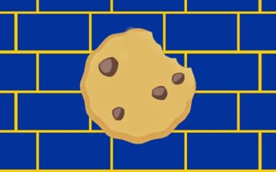 RGPD : le Conseil d'Etat se prononce (plutôt) contre des cookie walls