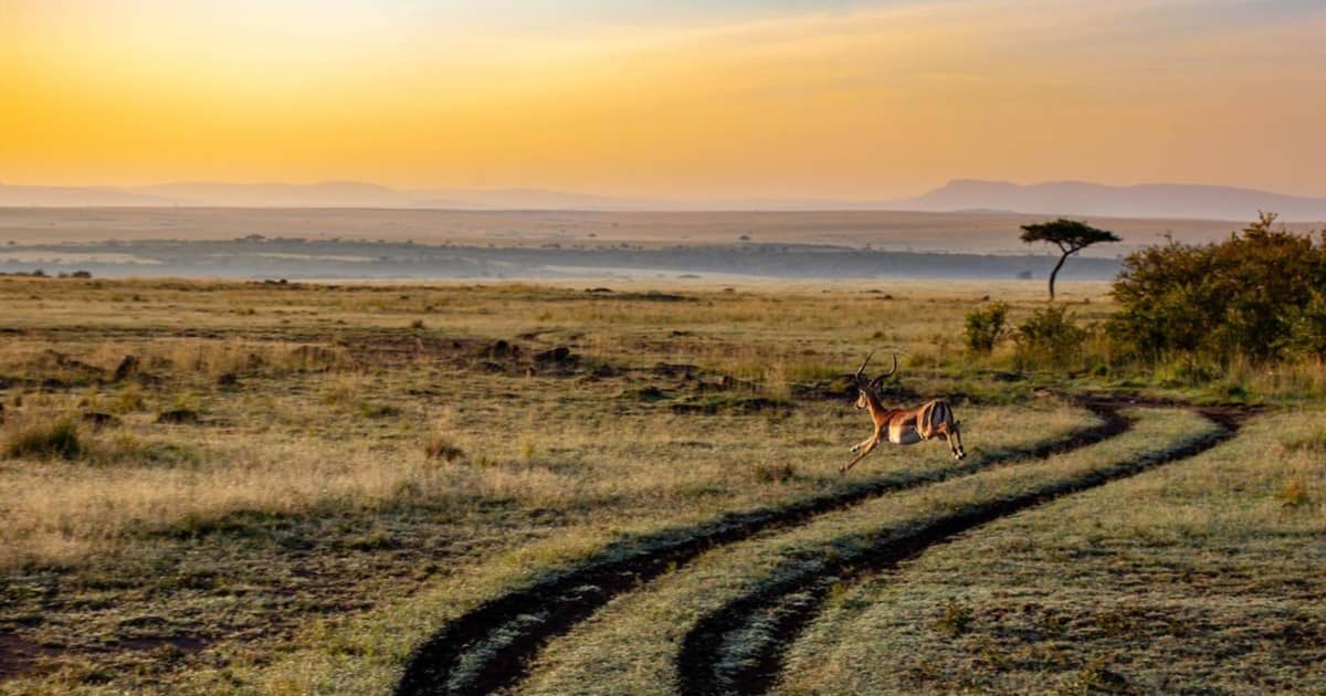 Déposer une marque au Kenya