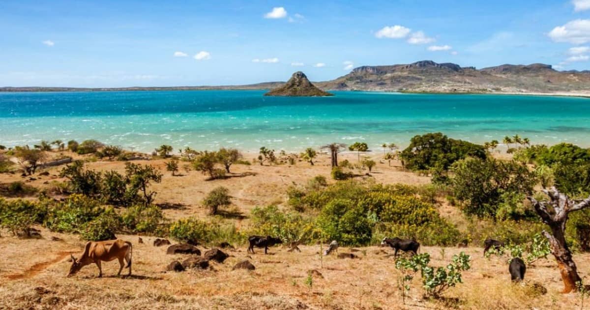 Déposer sa marque à Madagascar