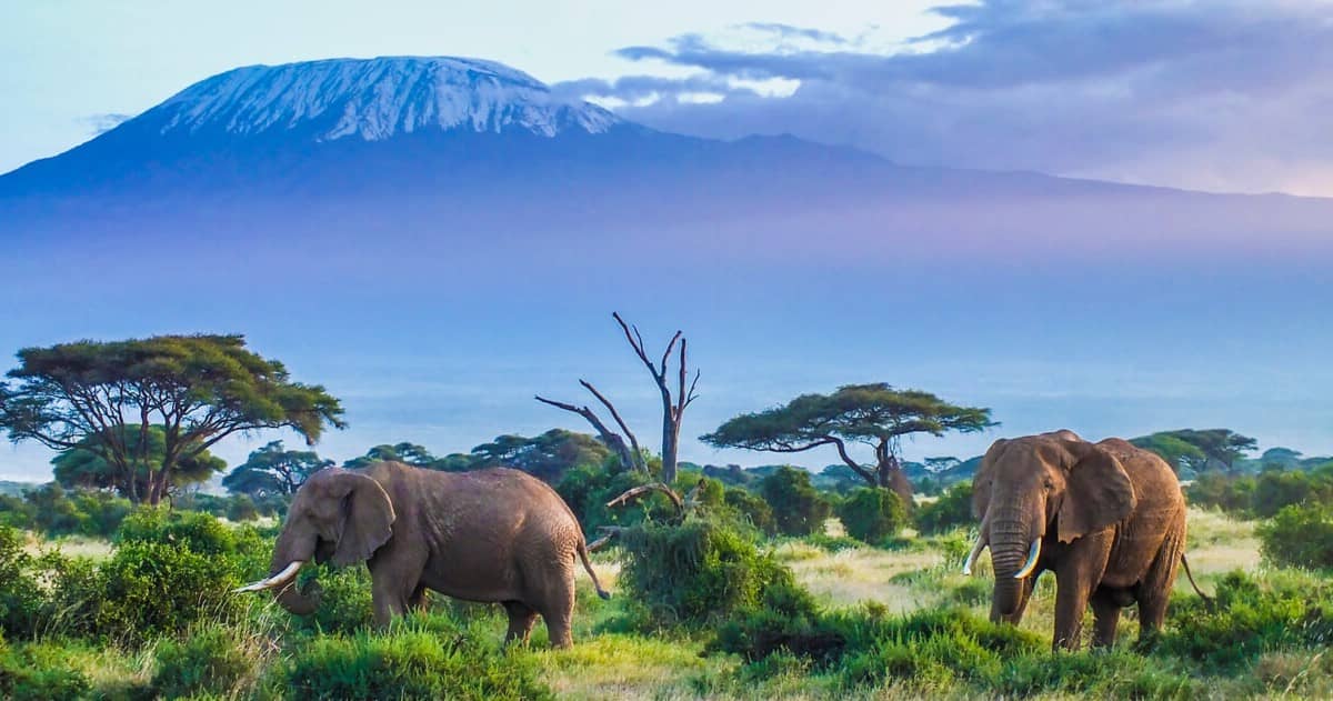 Déposer une marque en Tanzanie