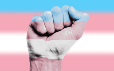 Guide pratique : Droits et libertés des personnes transgenres