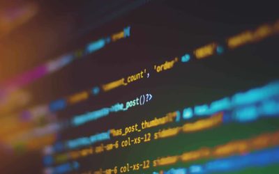 Action en contrefaçon de logiciel