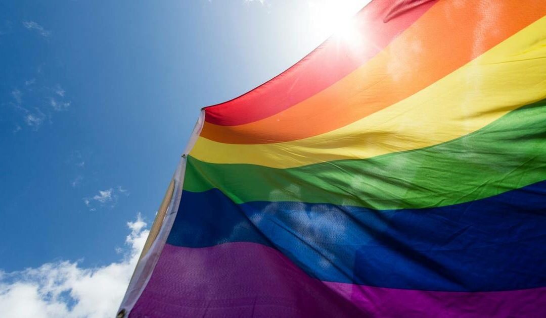 La CEDH condamne la censurer les personnages LGBT dans les contes pour enfants