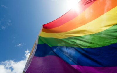 La CEDH condamne la censurer les personnages LGBT dans les contes pour enfants